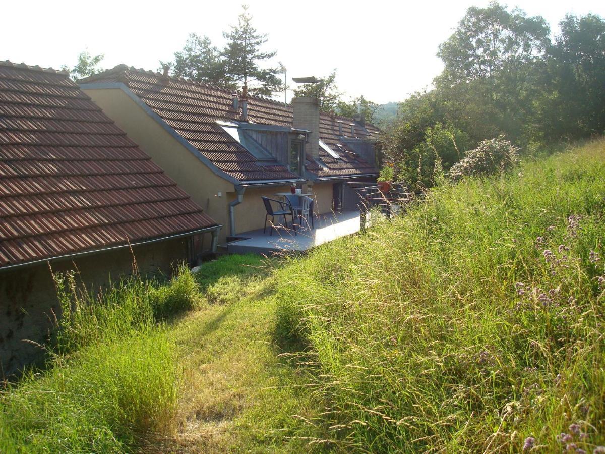 Apartman Pod Velkou Amerikou Morina 外观 照片