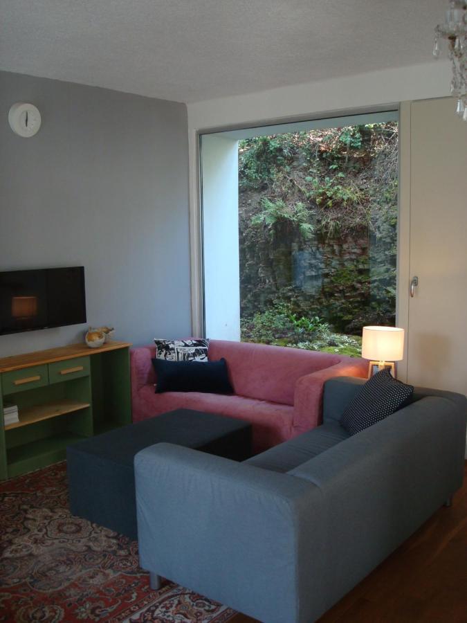 Apartman Pod Velkou Amerikou Morina 外观 照片